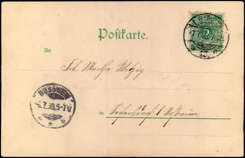 Neujahr Sylvester New Year Schwalben mit Kleeblatt 1899 Goldrand/Prägekarte