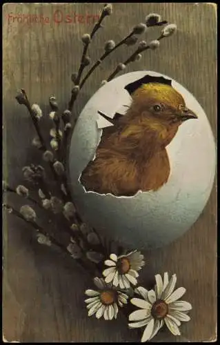 Ansichtskarte  Ostern Easter Küken schaut aus dem Ei Weidenkätzchen 1912