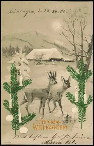 Weihnachten - Christmas Rehe zwischen Tannen Künstlerkarte 1905 Prägekarte