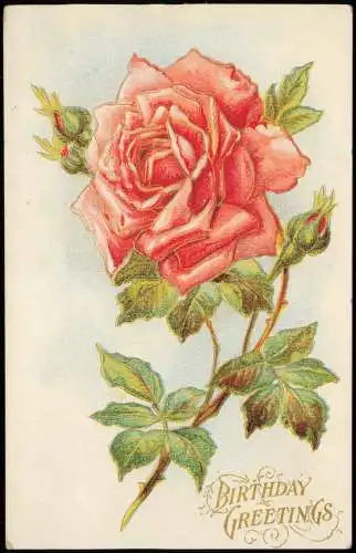 Geburtstag Birthday red rose rote Rose 19109 Goldrand/Prägekarte