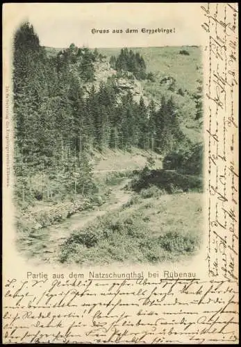 Olbernhau Partie aus dem Natzschungthal bei Rübenau Erzgebirge 1908