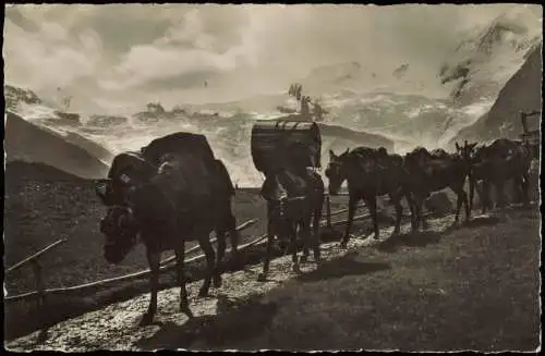 Ansichtskarte Saas-Fee Maultierpost Post 1932  Helvetia Schweiz