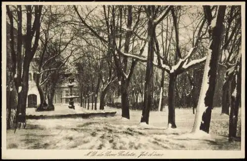 Ansichtskarte Sion/Sitten Galatz, Jet d'eau - Winter 1924