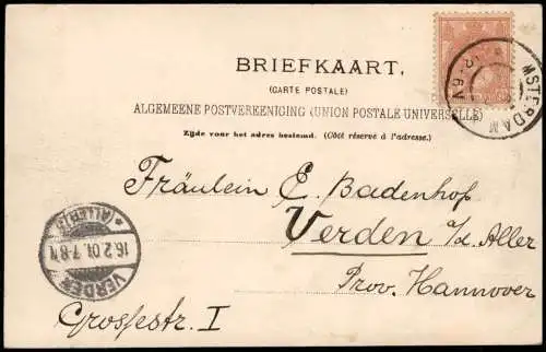 Postkaart Amsterdam Amsterdam Landgezicht Sloterweg - Kühe 1901