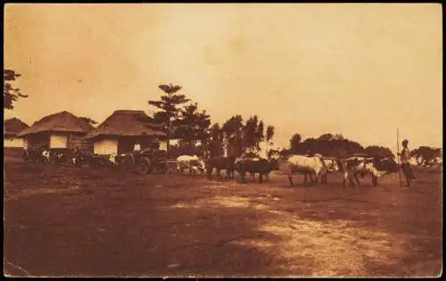 Ansichtskarte  Ochsenfuhrwerk Ostafrika Kolonie 1915  Tansania Tanzania