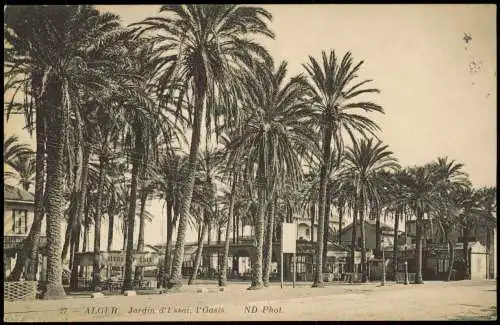 Postcard Algier دزاير Jardin d'Essai, l'Oasis. 1913  Algeria