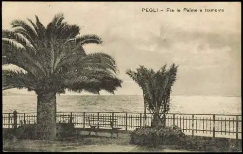 Cartolina Pegli-Genua Genova (Zena) Fra le Palme e tramonto 1923