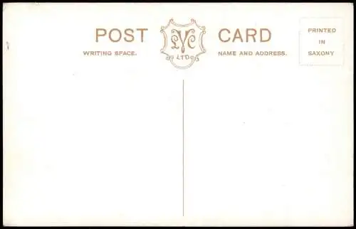 Postcard Brighton A Gallant Rescue Queens Park 1914