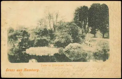 Ansichtskarte Hamburg Partie im Botanischen Garten. 1901