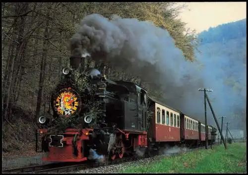 Harzer Schmalspurbahn Dampflokomotive Walpurgiszug bei Illfeld Netzkater 1995