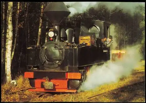 Dampflokomotive Waldeisenbahn Muskau im Bahnhof Krauschwitz 1995