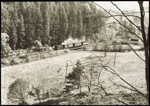 Jöhstadt (Erzgebirge) Schmalspurbahn Wolkenstein - Jöhstadt 1983