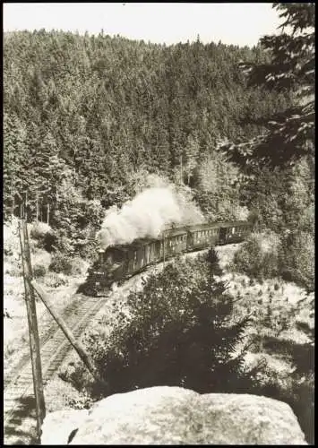 Jöhstadt (Erzgebirge) Schmalspurbahn Wolkenstein-Jöhstadt vor Schlössel  1983