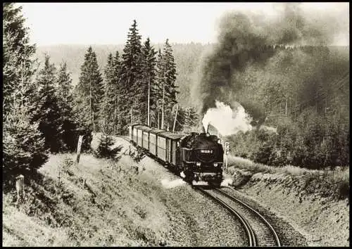 Harzquerbahn - Dampflokomotive zwischen Benneckenstein und Tiefenbachmühle 1982