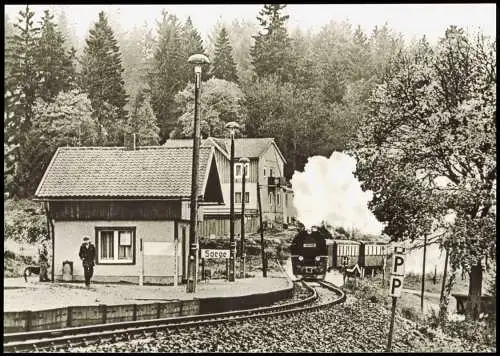 Sorge (Harz) Harzquerbahn - Dampflokomotive fährt auf den Haltepunkt Sorge 1982