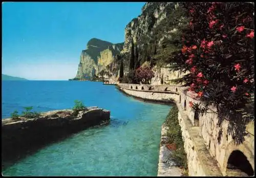 Cartolina Riva del Garda Lago di Garda Gardesana Occidentale 1977