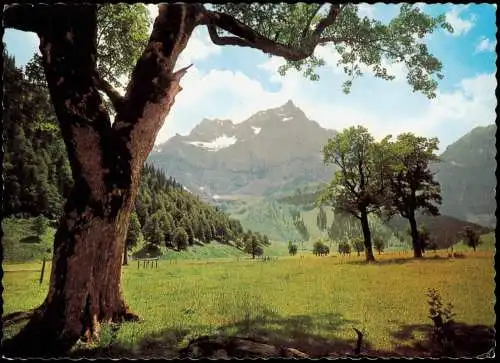 .Tirol Eis- und Spitzkarspitze vom Gr. Ahornboden Karwendel Tirol 1980