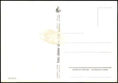 Cartolina Dorf Tirol-Meran Merano Brunnenburg 1980