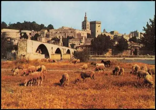 CPA Avignon Vue générale et Pont St. Bénézet 1980