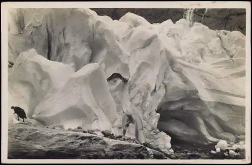 Norwegen Norge Norwegen Allgemein Brixdalsbreen Eismeer Gletscher (Glacier) 1930