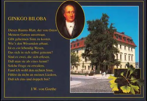 Ansichtskarte Weimar Gebäude-Ansicht und Goethe GINKGO BILOBA 2000