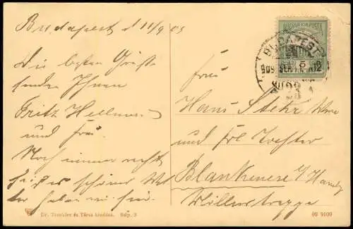 Budapest Ferencz Jozsef rakpart Franz Josefsquai Straßen-Ansicht 1903