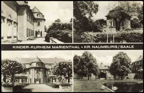 Lot 5 Ansichtskarten Naumburg (Saale) Dom, Rathaus, Repro, Kurheim Marienthal