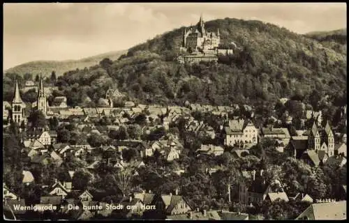 Lot 7 Ansichtskarten Wernigerode Schloss/Feudalmuseum Parkhotel Panorama 1955