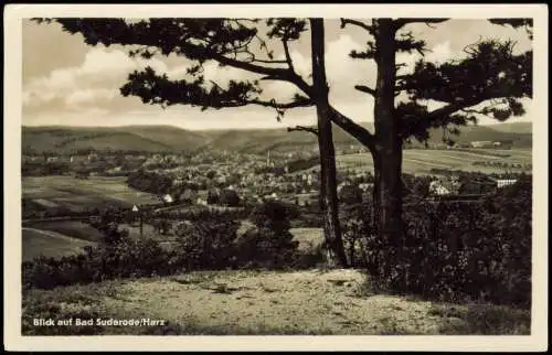 Lot 15 Ansichtskarten diverse Karten aus dem Harz 1960