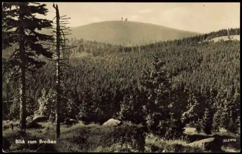 Lot 15 Ansichtskarten diverse Karten aus dem Harz 1960