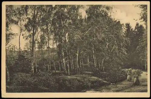 Lot 15 Ansichtskarten diverse Karten aus dem Harz 1960