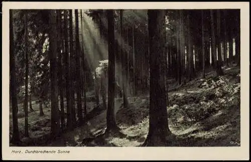 Lot 15 Ansichtskarten diverse Karten aus dem Harz 1960