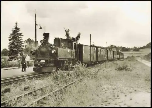 Ansichtskarte Friedewald-Moritzburg Bahnhof - Traditionsbahn 1981