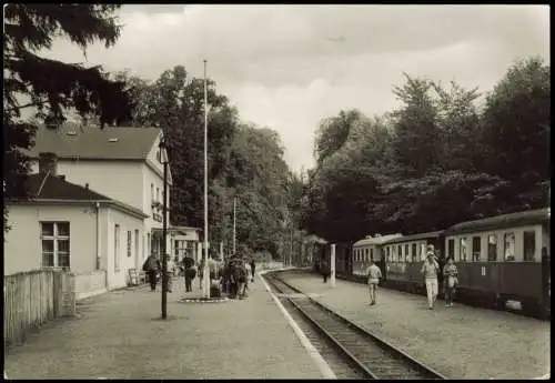 Ansichtskarte Bad Doberan DDR AK Ostseebad Bahnhof mit Bäderbahn 1984