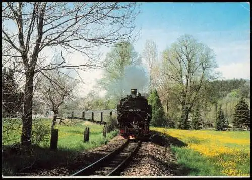 Dampflokomotive Zug Eisenbahn DB-Strecke Weißeritztalbahn Dippoldiswalde 1998