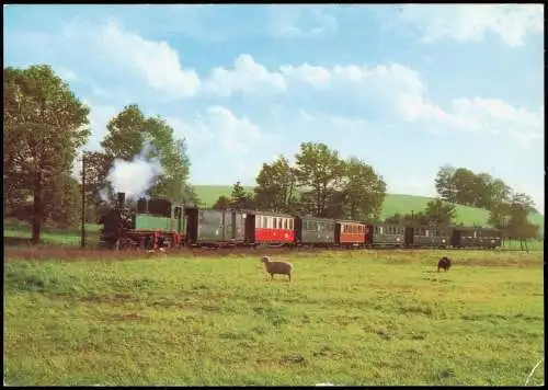 Ansichtskarte  Traditionsbahn Radebeul Ost-Radeburg: Wiesental Schafe 1985