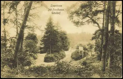 Ansichtskarte Wandlitz Am Forsthause Uetzdorf Liepnitzsee 1912