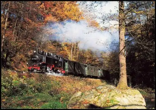 Dampflok-Zug Weißeritztalbahn Freital-Hainsberg-Kurort Kipsdorf 1994