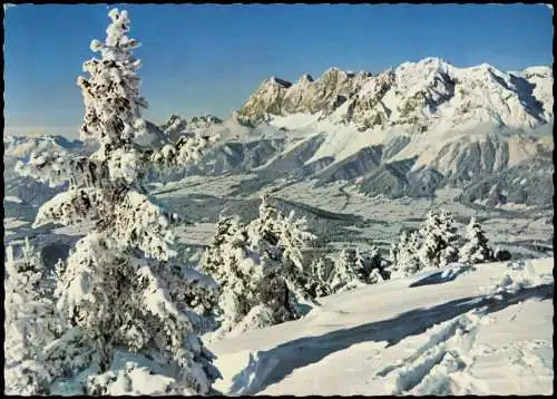 Schladming Panorama Skigelände Plane Blick gegen Dachstein  Bischofsmütze 1967