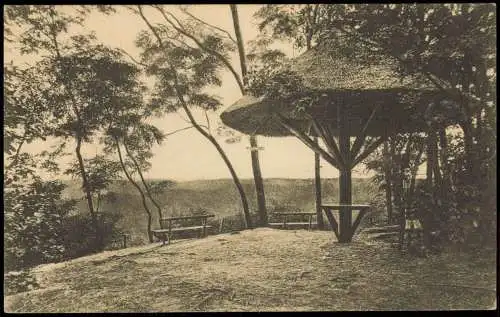 Ansichtskarte Buckow (Märkische Schweiz) Dachsberg mit Schutzhütte 1928