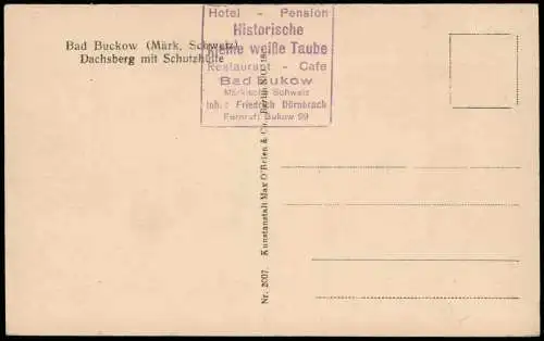 Ansichtskarte Buckow (Märkische Schweiz) Dachsberg mit Schutzhütte 1928