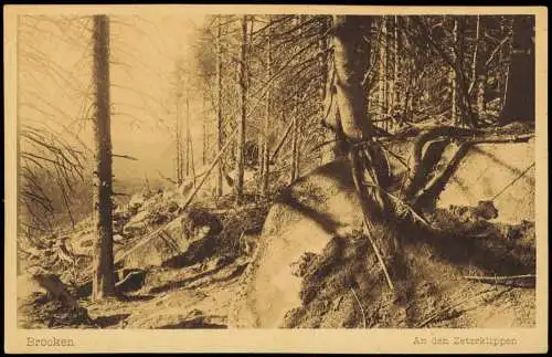 Ansichtskarte Ilsenburg (Harz) Brocken An den Zeterklippen 1910