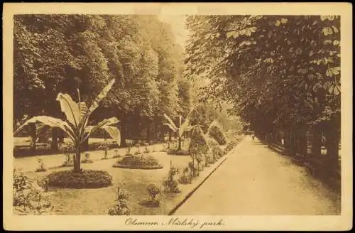 Postcard Olmütz Olomouc Městský park. Parkanlage 1917