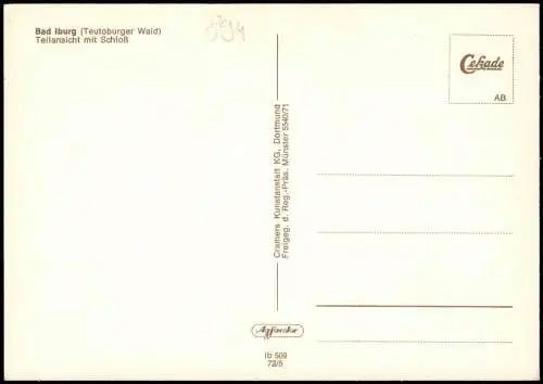 Bad Iburg Bad Iburg Teutoburger Wal) Teilansicht mit Schloß 1972