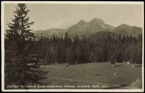 Postcard Kesmark Kežmarok Tatra Tatry Kesmarki Itato 1930