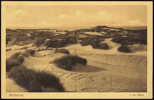 Ansichtskarte Norderney In den Dünen 1925