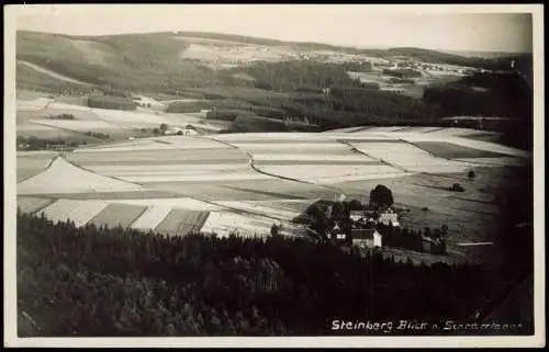 Ansichtskarte Rothenkirchen-Steinberg (Vogtland) Blick auf Schnarrtanne 1939