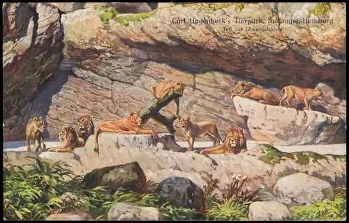 Stellingen-Hamburg Carl Hagenbeck's Tierpark Teil der Löwenschluchtin 1914