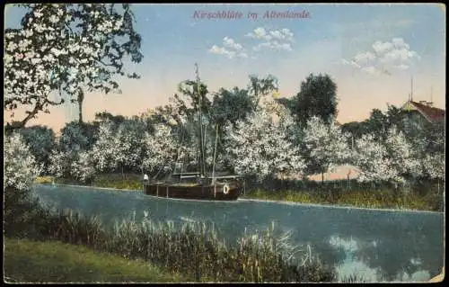 .Niedersachsen Kirschblüte im Altenlande Altenlande Kirschenlande 1914