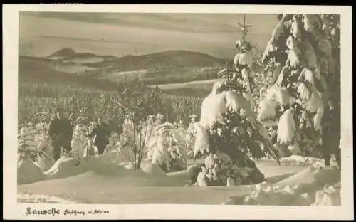 WaltersdorfGroßschönau Sachsen Lausche Südhang Ski Winter Oberlausitz 1927